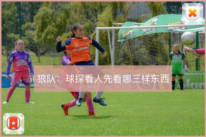 狼队:球探看人先看哪三样东西