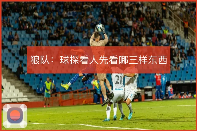 狼队：球探看人先看哪三样东西